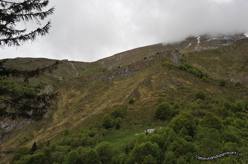 039 Merlaccio - rif Capanna.JPG